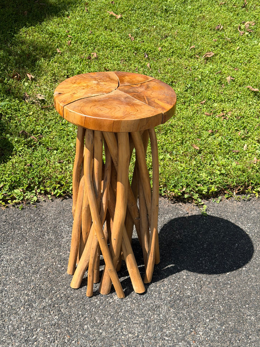 Organic Modern Teak Root Pedestal Side Table / Plant Stand