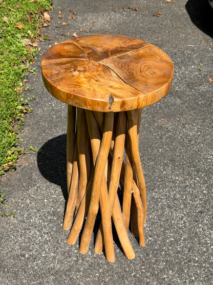 Organic Modern Teak Root Pedestal Side Table / Plant Stand