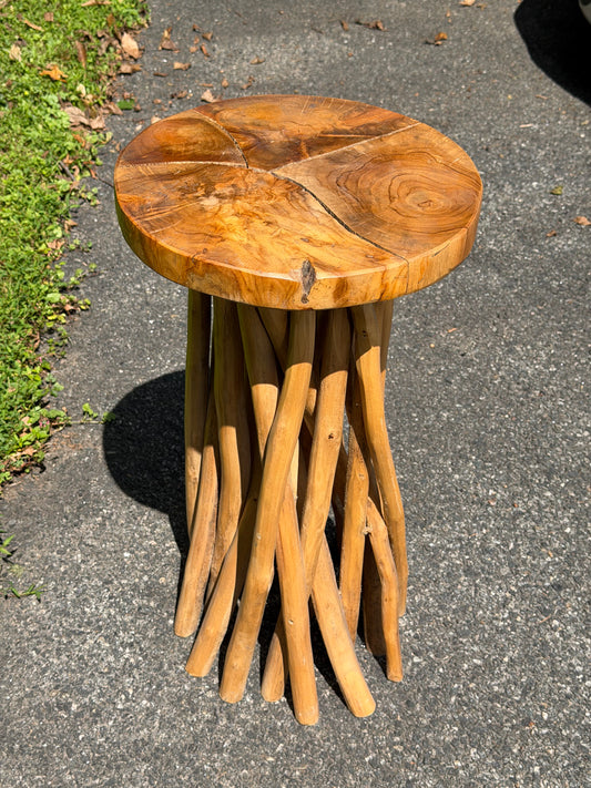 Organic Modern Teak Root Pedestal Side Table / Plant Stand