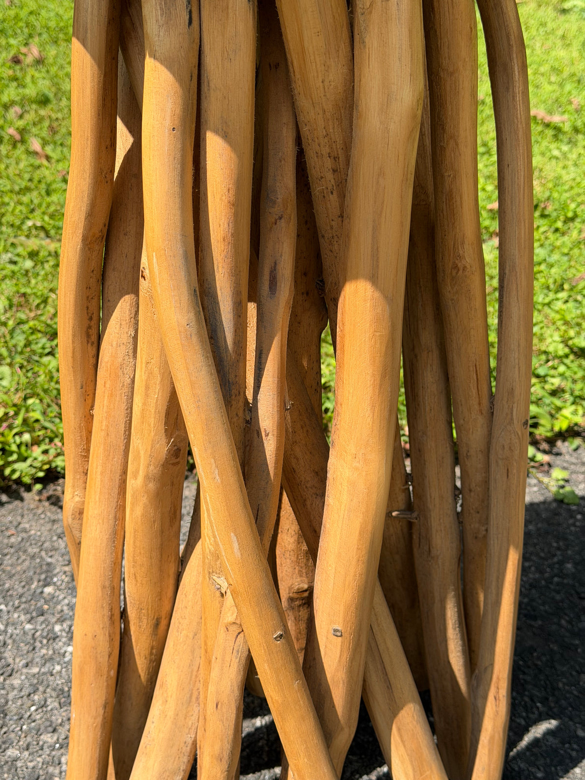 Organic Modern Teak Root Pedestal Side Table / Plant Stand
