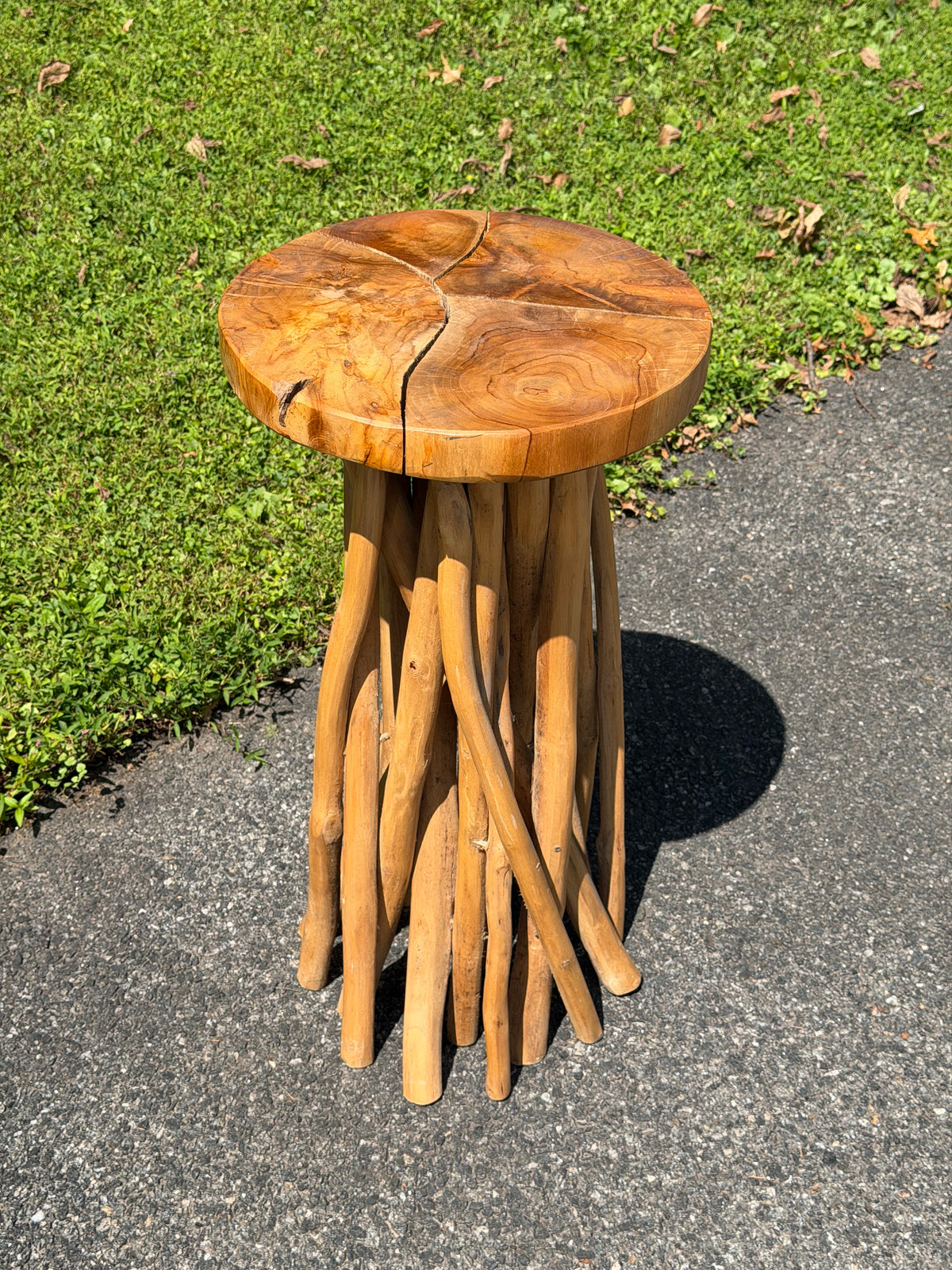 Organic Modern Teak Root Pedestal Side Table / Plant Stand