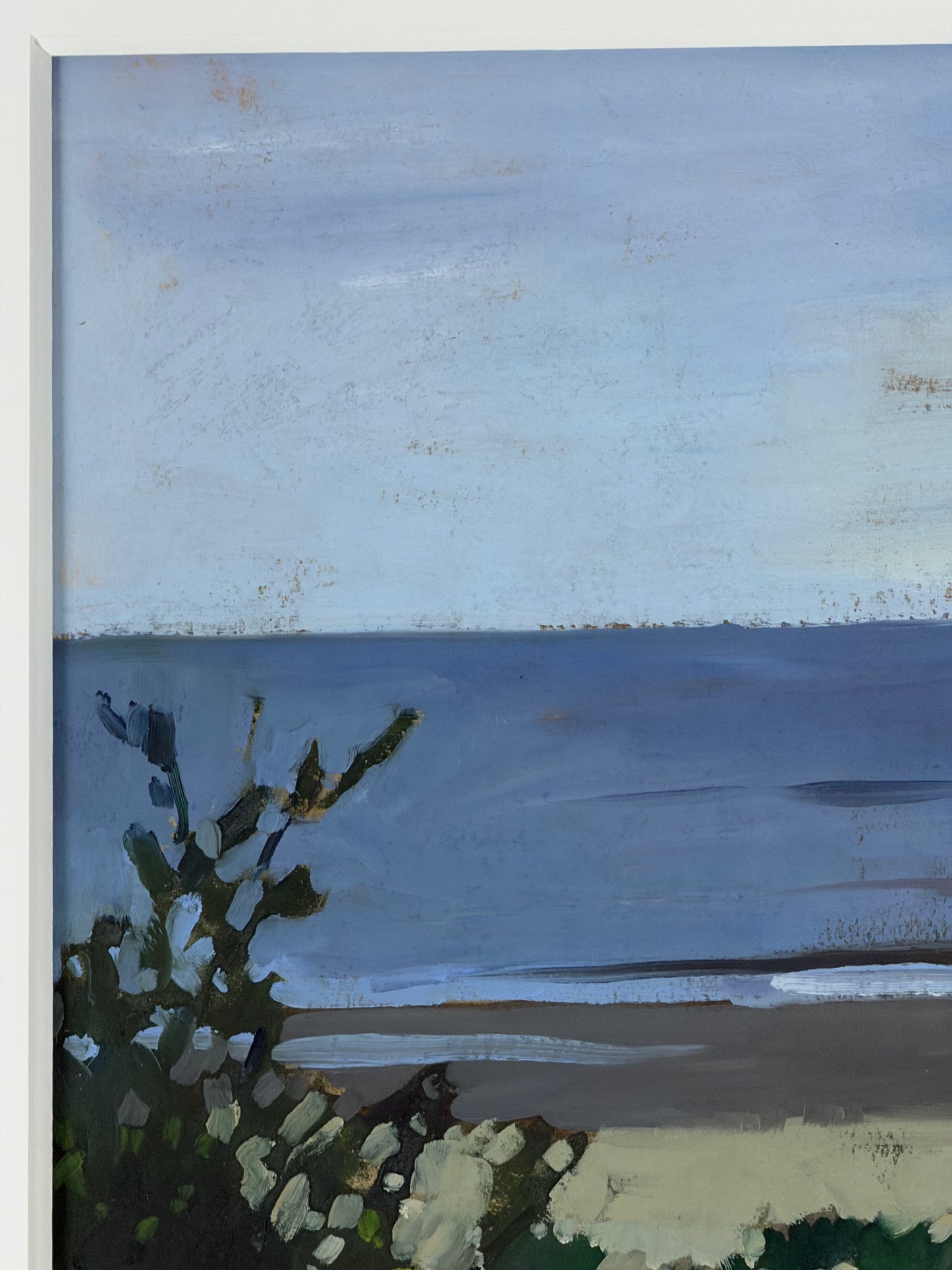 Wild Dunes, South Carolina by Jane Fisher