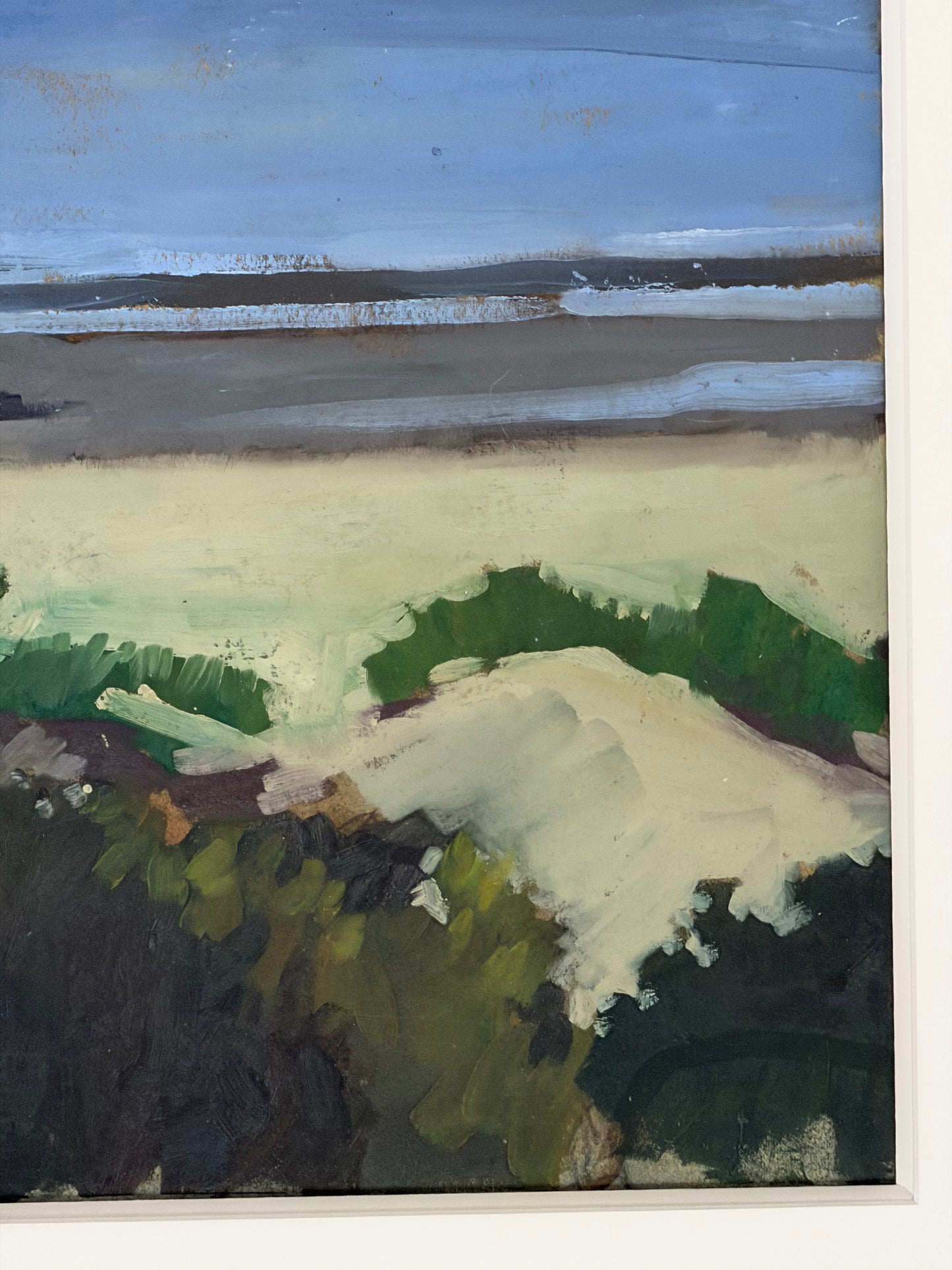 Wild Dunes, South Carolina by Jane Fisher