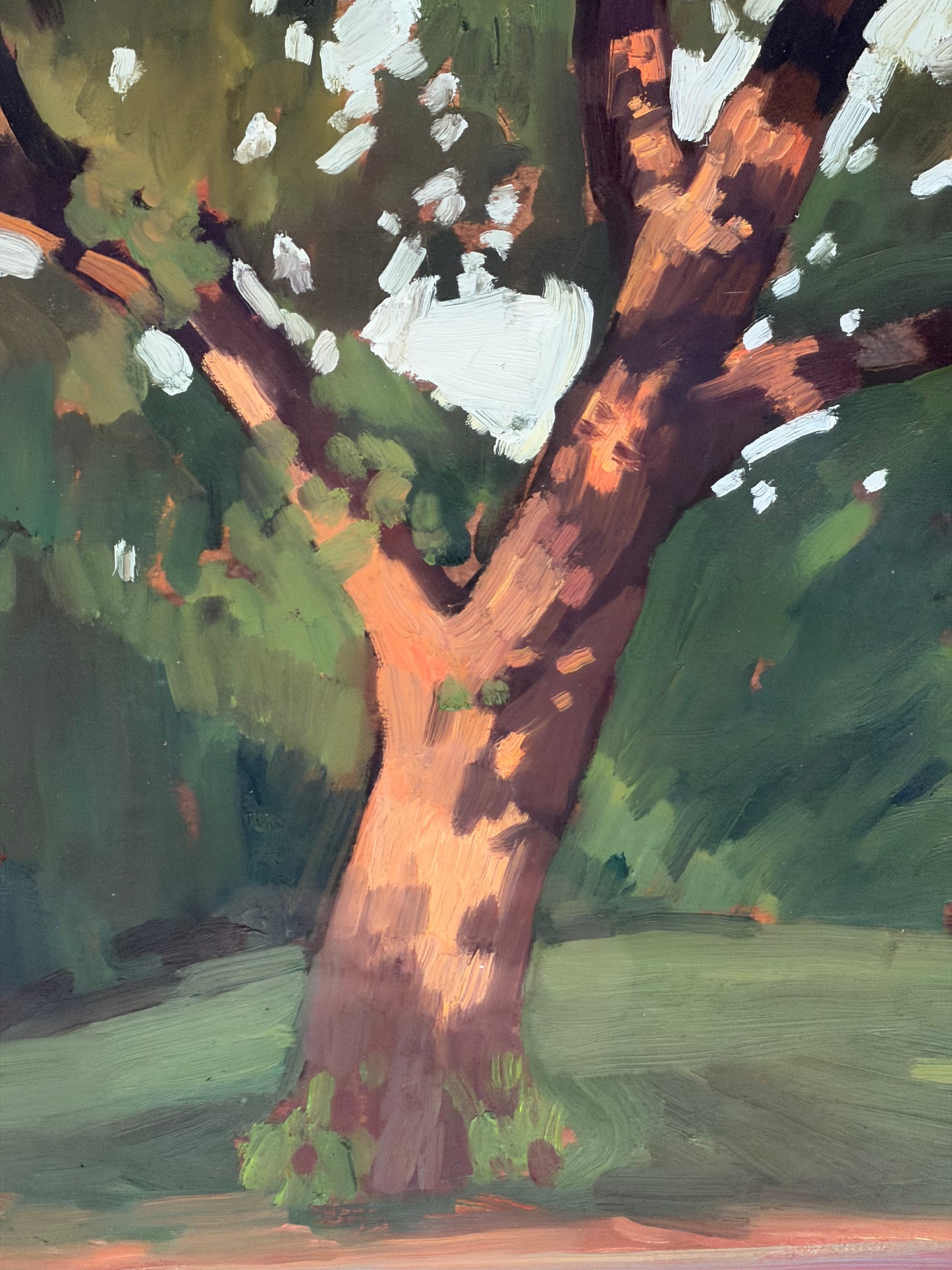 Big Tree by Jane Fisher