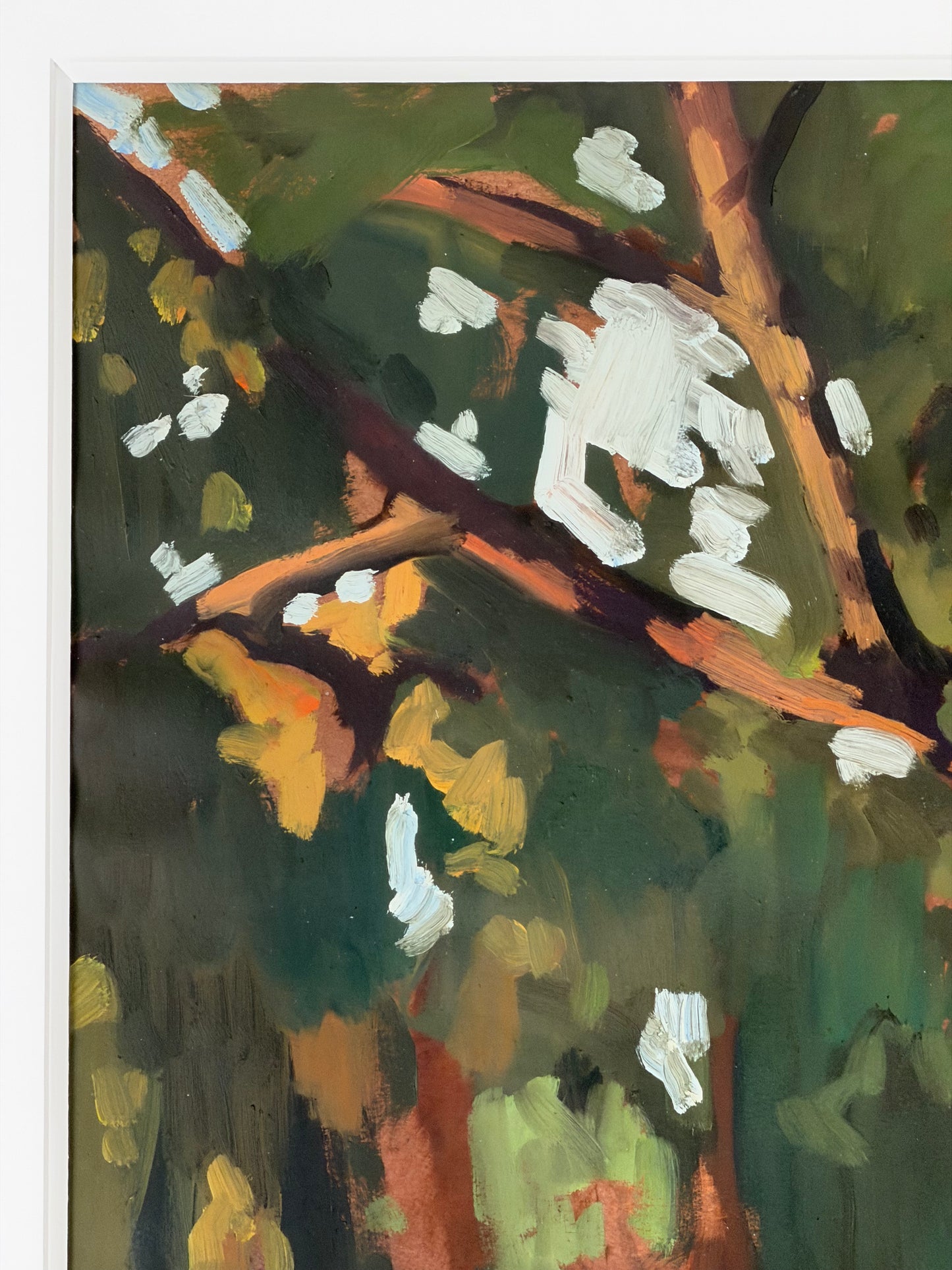 Big Tree by Jane Fisher